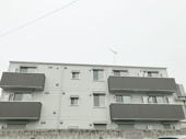 Hale Asamaの画像