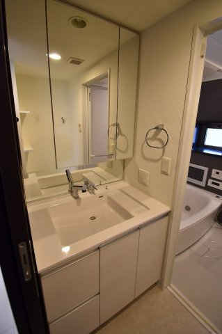 エステムコート谷町四丁目の洗面所