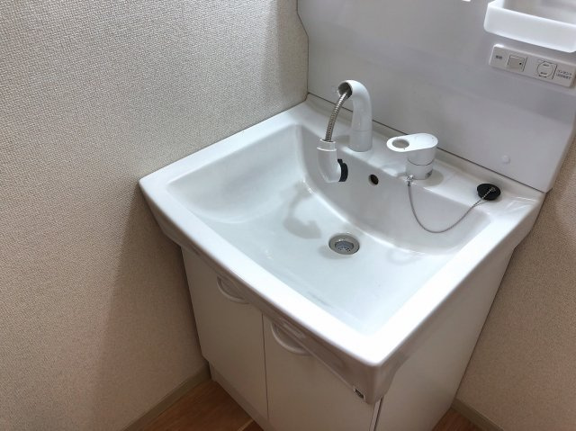 マイルドディアスきしの洗面所