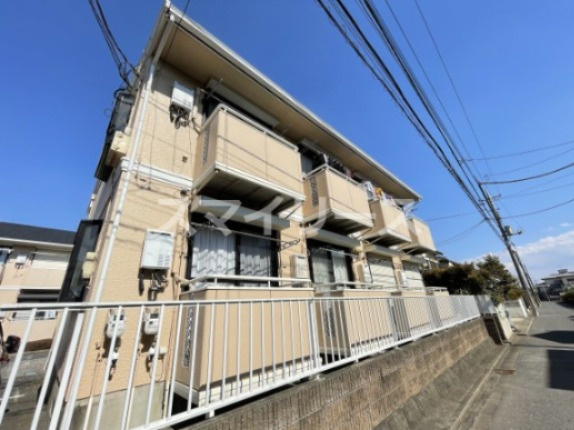 マリーゴールドB