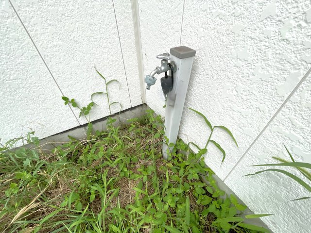 家徳コーポBの庭