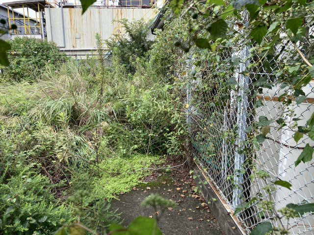 姫路市御国野町国分寺／売土地の前面道路含む現地写真|【現況写真】