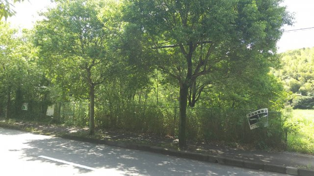 姫路市御立東6丁目／売土地の前面道路含む現地写真|【現況写真】