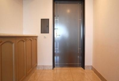 港区赤坂５丁目の賃貸マンションの玄関|同タイプ参照