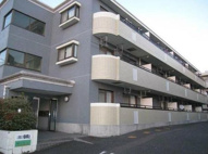 リバーシティ中山C棟の画像