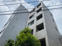 サンチャリーフの画像