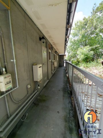 コーポSUBARUのその他共用部分|共用廊下です♪