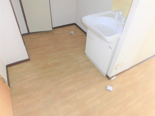 パナハイツ金森の洗面所