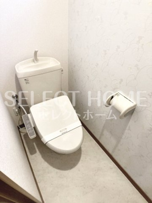 【トイレ】 | ブランシェ上里 | トイレも気になるポイント