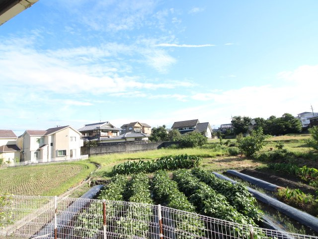 WIN68の展望