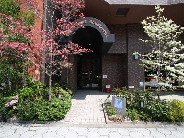 パインタワー上町台　BRAVI不動産の外観パース