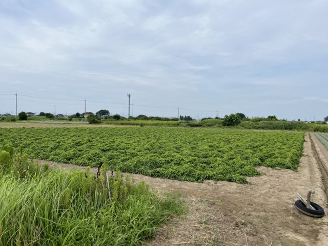 【外観】 | 太田市押切町　農地① | 北東からの写真