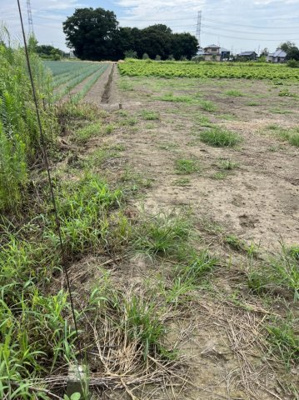 【外観】 | 太田市押切町　農地② | 北西からの写真