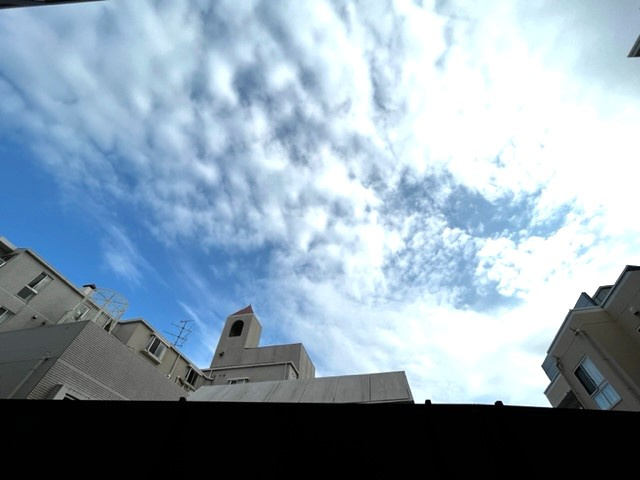 ヴェレーナ茅ヶ崎海岸の展望|眺望