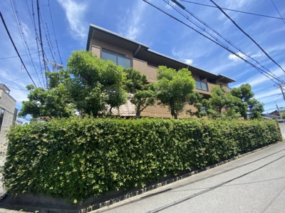 【展望】 | モンジュールフジ