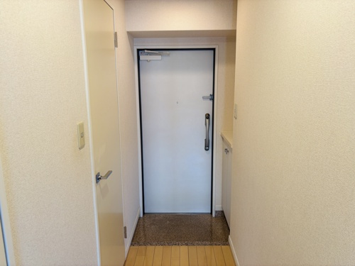 熊本市中央区本荘３丁目の賃貸マンションの玄関