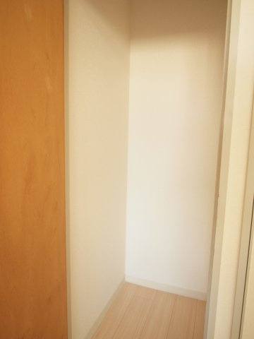大阪市西区南堀江３丁目の賃貸マンションの収納