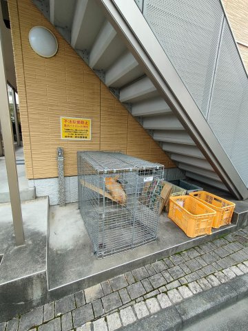 シュリオのその他