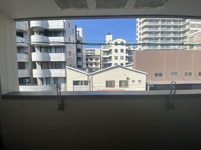 ドリーム フジ 桜川の展望