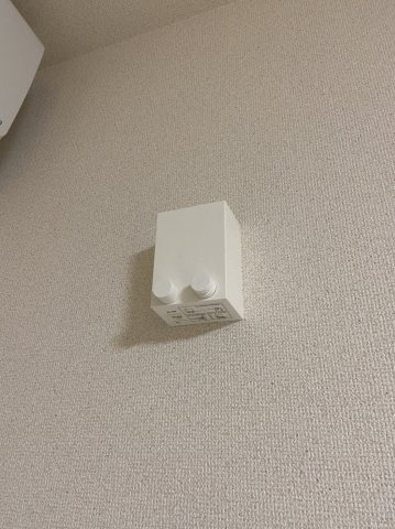 ドリーム フジ 桜川