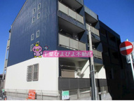 サイプレス(サイプレス)の画像