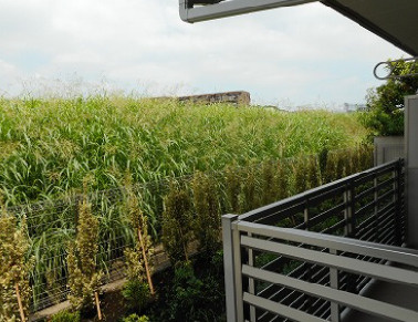 【展望】 | クレイノライズ日吉