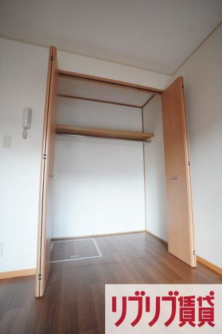ビューラーみゆきの収納