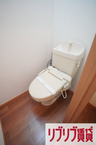 ビューラーみゆきのトイレ