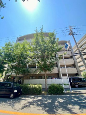 【展望】 | レシェンテ緑地