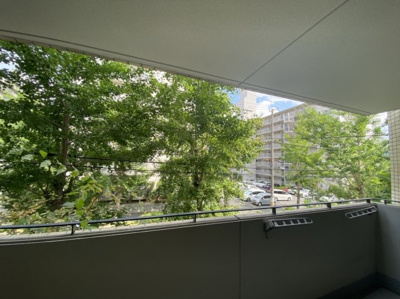 【展望】 | レシェンテ緑地