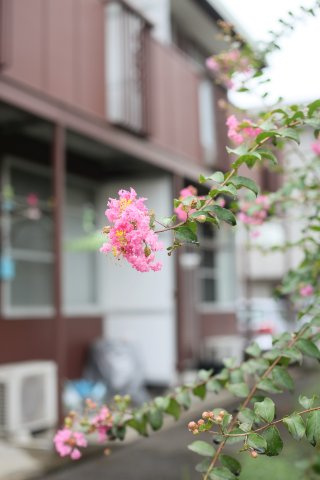 タウン66　C棟の外観パース