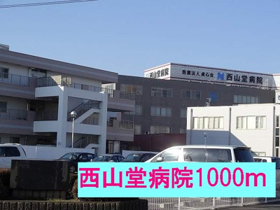 【周辺】 | ピ－ネ・デル・ヴィラッジオ | 西山堂病院まで1000m