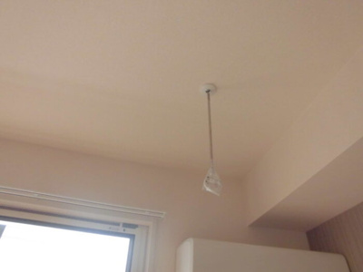 【その他】 | コスモス Ｂ