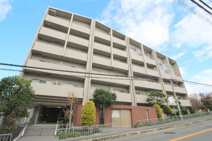 エターナル緑丘の画像