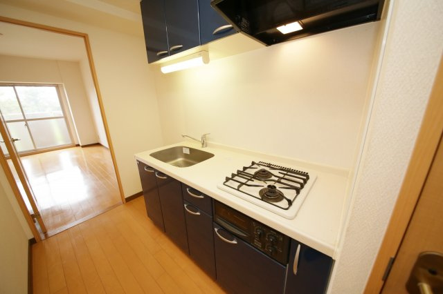 サンアップウェルⅡのキッチン