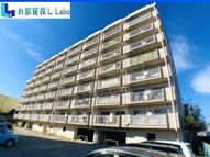 コスタビラの画像