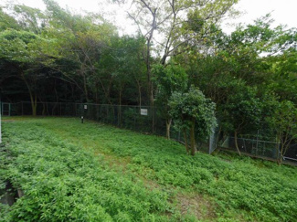 【その他】 | グランドパレス君影