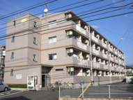 松江市西持田町のマンションの画像