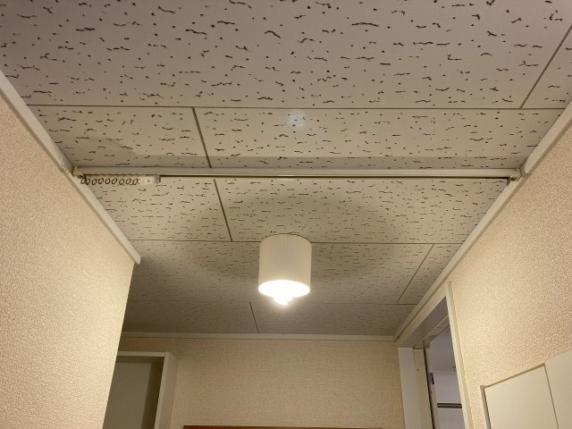 ミレニエルのその他
