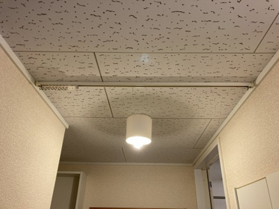 【その他】 | ミレニエル