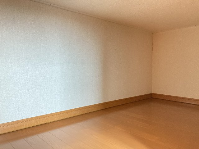 ミレニエルの収納