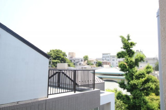 【展望】