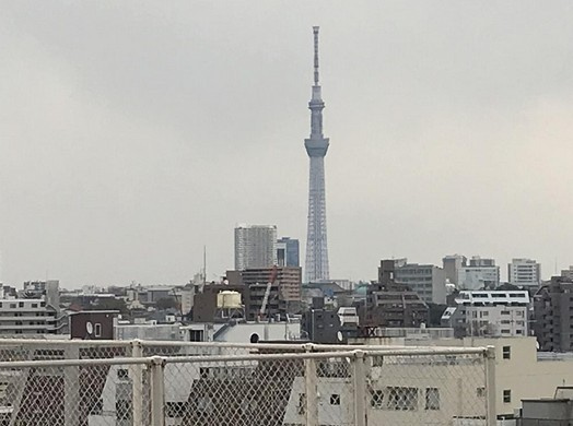 【展望】
