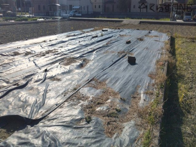 【外観】 | 姫路市飾磨区加茂東／売土地