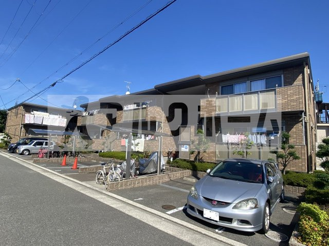 クリサンテーム