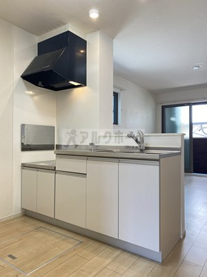 ヴェルデブリッサⅡのキッチン