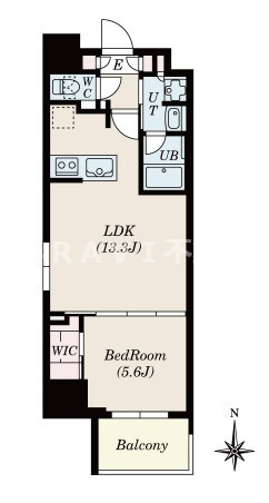 Dimus北浜（ディームスキタハマ）　BRAVI不動産の間取り|【Dimus北浜】間取り