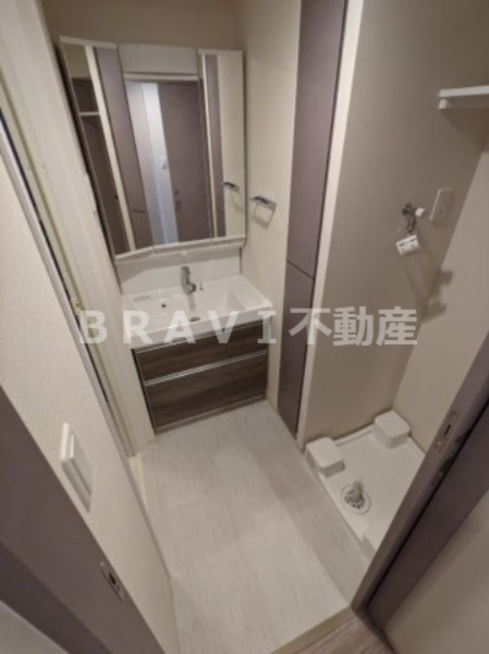 Dimus北浜（ディームスキタハマ）　BRAVI不動産の洗面所