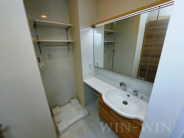 ソレイユ入船の洗面所