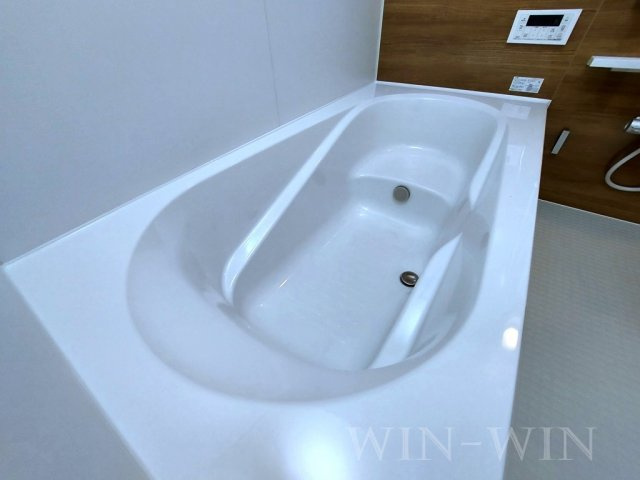 ソレイユ入船の洗面所